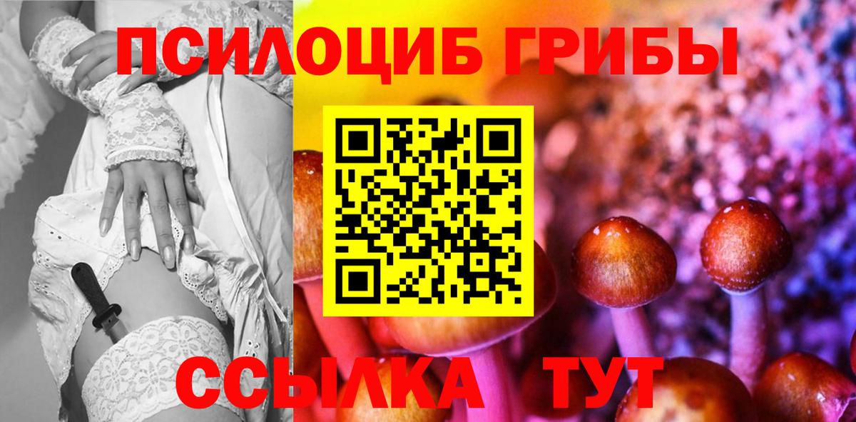 Псилоцибиновые грибы GOLDEN TEACHER Дзержинский