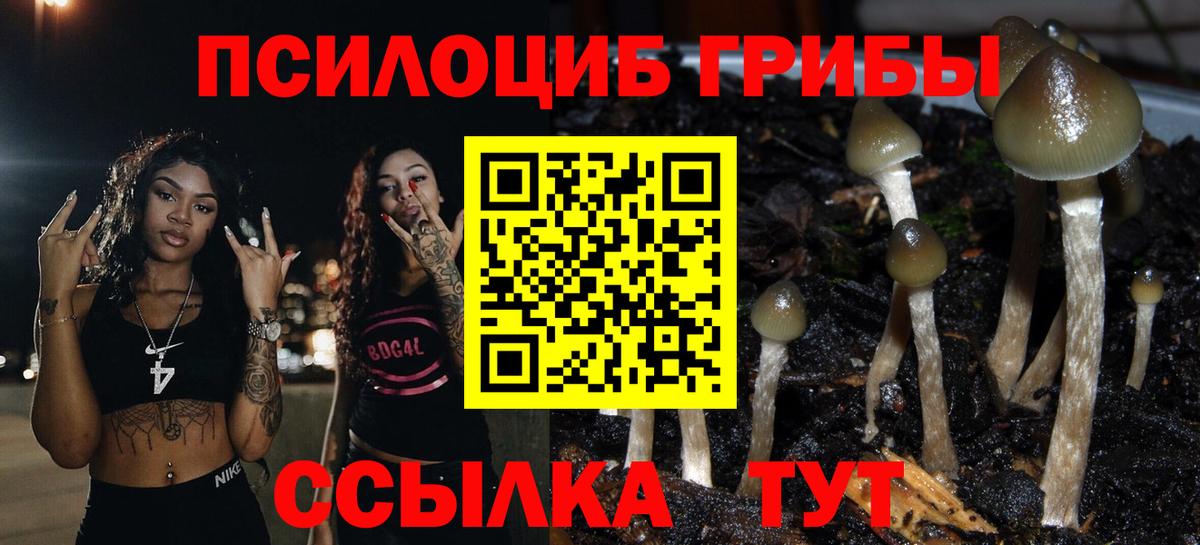 Дзержинский  Псилоцибиновые грибы Psilocybe  Вход с VPN 